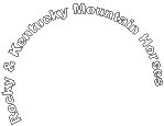 Rocky & Kentucky Mountain Horses